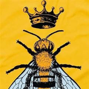 Meet your Posher, Jack